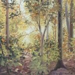 Etobicoke Valley Park - August 2025