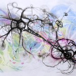 The Dragon Star - August 2010