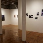 Inside the Mere Bodies or Something More? exhibition at The Red Head Gallery, August 2018
