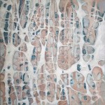 Bone Structure - August 2018 Bone Structure - August 2018