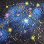 The Universe, The Brain, The Net - August 2018 The Universe, The Brain, The Net - August 2018