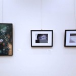 My painting (L) displayed beside the photographs (center and L) of fellow artist member Lisa Fox in the Wild Imperfections exhibition at S. Walter Stewart Library Toronto Public Library, July 2019 Public Library, July 2019