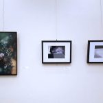 My painting (L) displayed beside the photographs (center and L) of fellow artist member Lisa Fox in the Wild Imperfections exhibition at S. Walter Stewart Library Toronto Public Library, July 2019 Public Library, July 2019