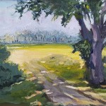 Marie Curtis Park (Study) - July 2019