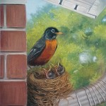 Our Neighbour,  the American Robin - June 2020