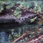 Sherwood Park (study) - January 2020