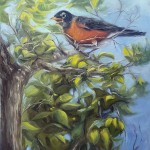 American Robin - Mar 2020