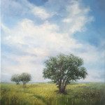 Marie Curtis Park (South) - August 2023 Marie Curtis Park (South) - August 2023